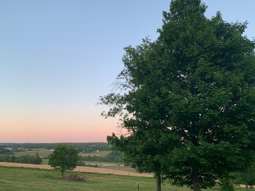 Tentrr - A Hilltop View Campsite image 10