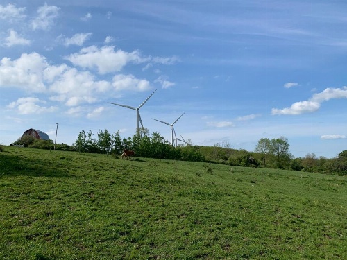 Tentrr - A Hilltop View Campsite image 11