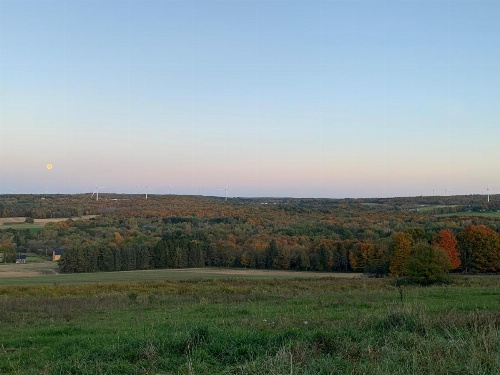 Tentrr - A Hilltop View Campsite image 13