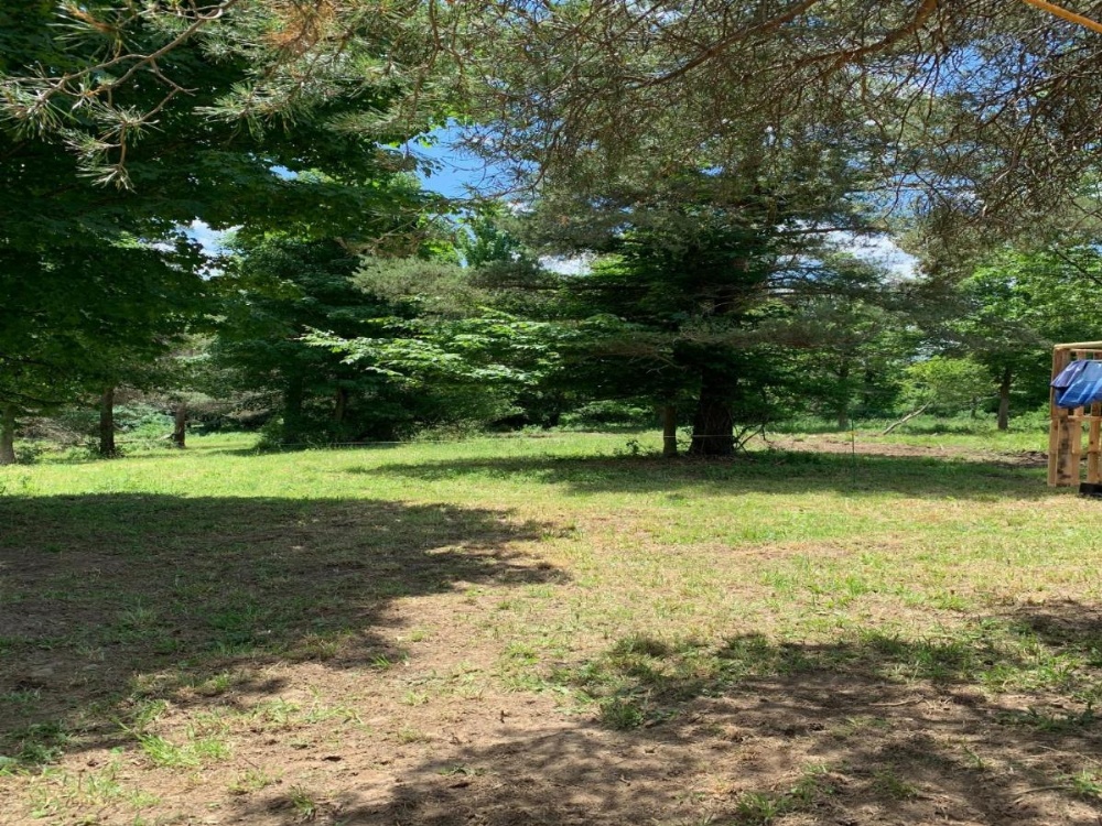 Tentrr - A Hilltop View Campsite